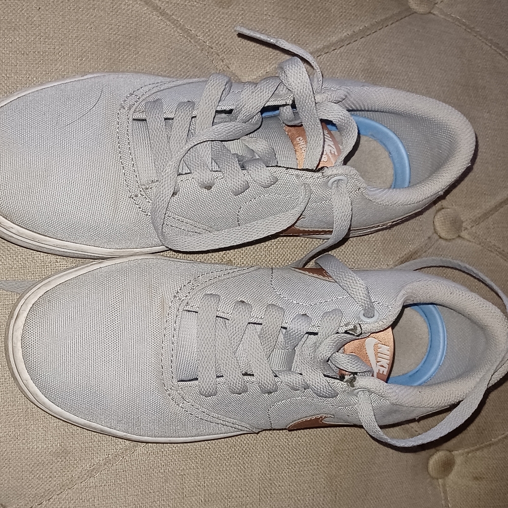 Nike Skate Shoes